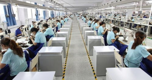 2022年河南電子商務(wù)運行呈穩(wěn)定增長態(tài)勢，經(jīng)營額達(dá)12122.45億元