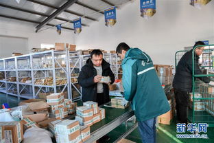 打造產(chǎn)業(yè)園區(qū)，賦能農(nóng)產(chǎn)品銷售，構(gòu)建電子商務(wù)新生態(tài)