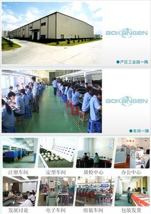 奧康恩的電子商務(wù)經(jīng)營之道 創(chuàng)新、整合與可持續(xù)發(fā)展